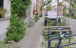 Workshop Tuinstraat op maat van jouw stad of gemeente - Herentals