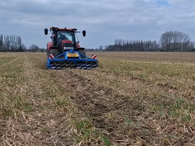 TUM Onderwerken groenbedekkers - Kruisem
