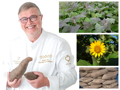 Yacon in de kijker: Frank Fol tovert met deze vergeten knol in de groentekeuken