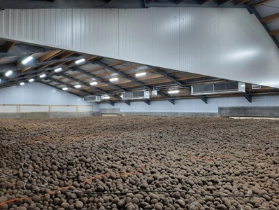 Belgische productie geschat op 5,3 mlj. ton