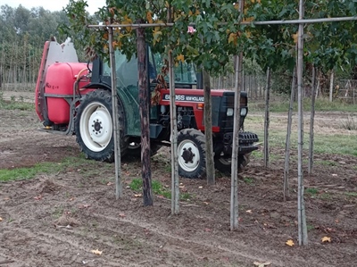 VERSPUIT: efficiënte spuittechniek in de laanbomenteelt: alleen maar voordelen!