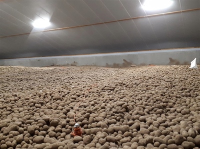 Schommelende temperaturen en condensvorming