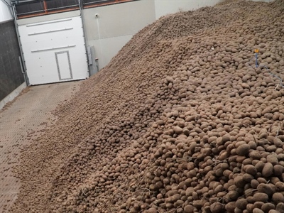 Historisch hoge voorraad in de schuur