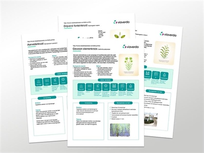 Teeltfiches ondergedoken waterplanten