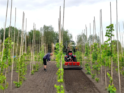 SoilQIT: Increasing Soil Quality supported by Innovative Techniques