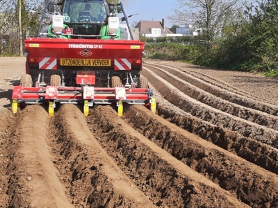 Belgisch aardappelareaal daalt drastisch