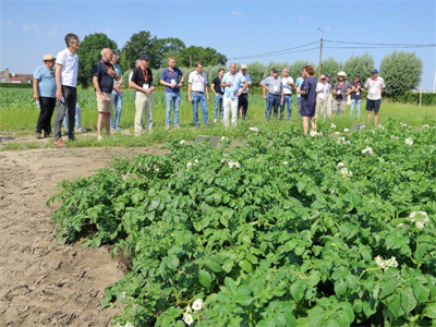 Nederlandse bedrijven uit de aardappelsector bezoeken Viaverda