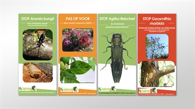 Infofiches van plantschadelijke organismen in België