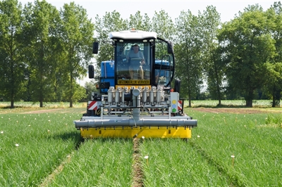 Proeven voor bedrijven en GEP