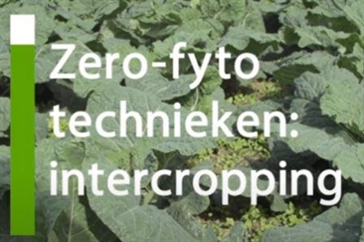 Videoreeks over plaagbeheersingsmethoden zonder (bio)pesticiden