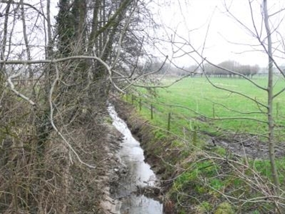 Rapportering CVBB (deel 5): Intensieve aanpak