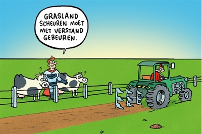 Grasland scheuren moet weloverwogen gebeuren