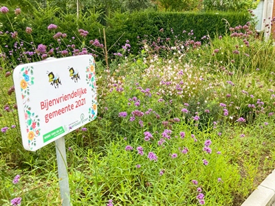 Vormingsmoment groenvoorziening: biodivers groen