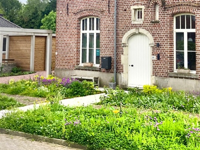 Vormingsmoment groenvoorziening: biodivers groen - Geraardsbergen