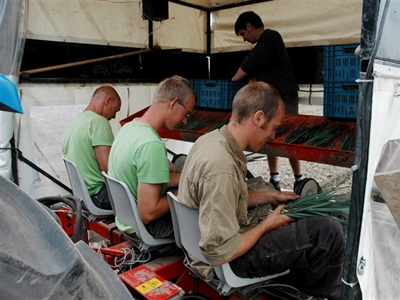 Ergonomie in de tuinbouw