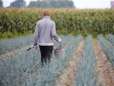 Hou de prei goed aan de groei