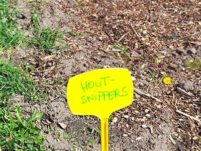 OSBOBO: Organische Stof in BOomkwekerijBOdems