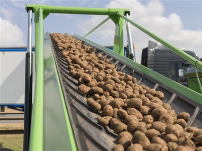 Marktbericht VIAVERDA/FIWAP - 29/07/25