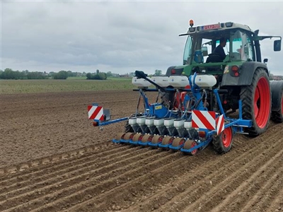 Uien 2.0: Goed begonnen is half gewonnen