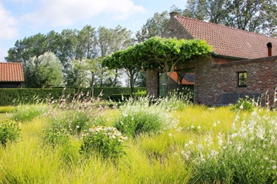 Workshop 'Wat is weerstand en hoe ga je ermee om?' - Heverlee