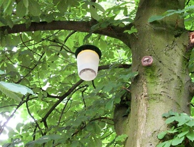Waarschuwing sierplanten 1.3