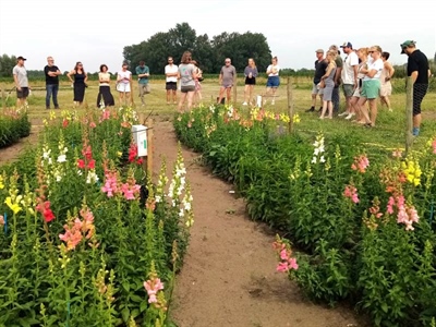 Proefveldbezoek biobloemen - Destelbergen