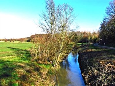 Aanhoudende droogte zorgt voor verscherpte maatregelen