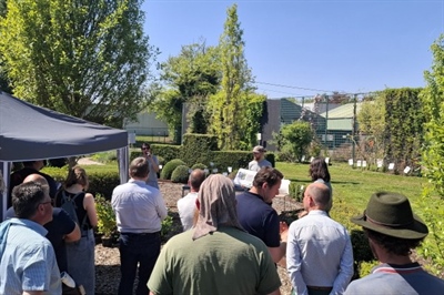 Studiedag Plaagherkenning en proefprogramma sierteelt en groenvoorziening - Destelbergen
