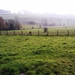 Infoavond landbouwers - Zwalm