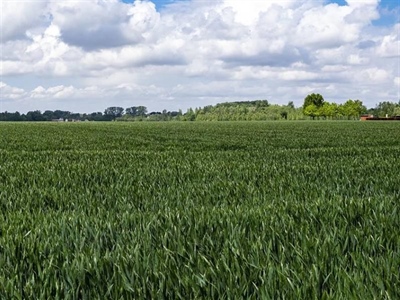 Infoavond landbouwers - Zwalm