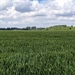Infoavond landbouwers - Zwalm