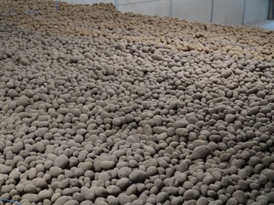 CIPC-residuen in Belgische aardappelloodsen blijven verder dalen