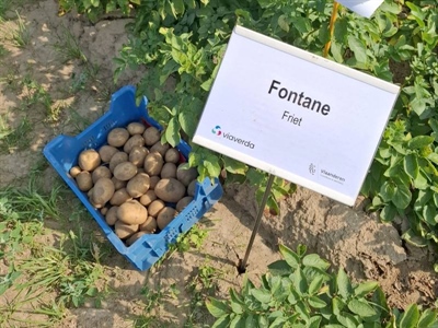 Opbrengst Fontane zit op schema