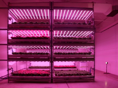 Studiedag Slimme energie voor slimme teelt: toekomstgerichte energie-oplossingen - Beitem
