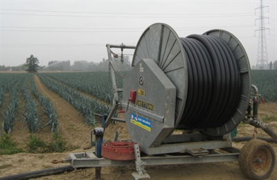 Prei ziet nog altijd af van de droogte