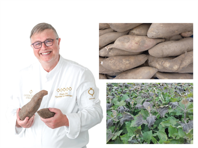 Yacon in de kijker: Frank Fol tovert met deze vergeten knol in de groentekeuken