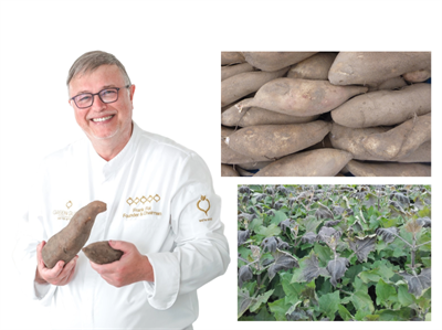 Recepten met Yacon: Frank Fol tovert met deze vergeten knol in de groentekeuken