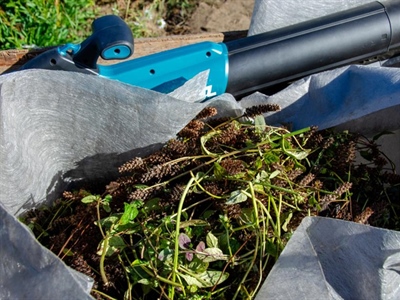 Demodag Aan de slag met autochtone zaden - van idee tot teelt in de praktijk - Destelbergen
