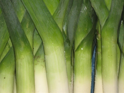 Resultaten rassenonderzoek zomer- en vroege herfstprei (rechtzetting)