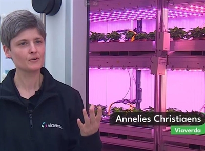 Video 'Meerlagenteelt'