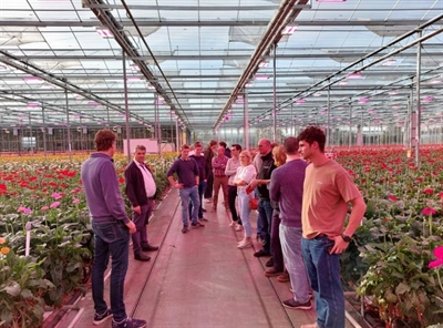 Innovaties in de glassierteelt in de kijker bij Royal Brinkman en gerberateler Florein