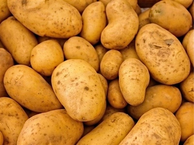 Nieuwe versie van de Gedragscode voor aardappelcontracten