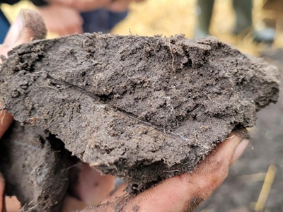 Thematisch Uitwisselingsmoment Bodemzorg - Astene