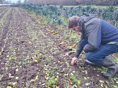 Thematisch Uitwisselingsmoment Bodemzorg in de kijker - Deinze