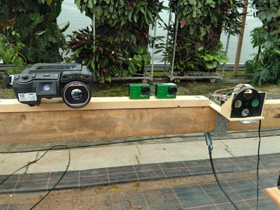 Vroegtijdige detectie van droogtestress in Living Wall Systems met innovatieve monitoringstechnieken