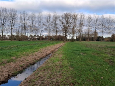 BELAT: beschermingsstroken voor land- en tuinbouw