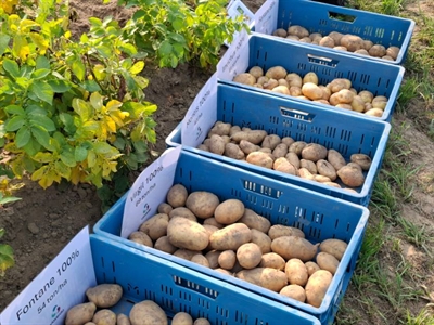 Aandeel Fontane is verder gestegen