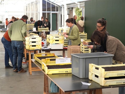 Samenzaai biobloemen - Destelbergen