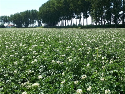 Klimaatbewuster telen op akkerbouwbedrijven met de klimaatscan