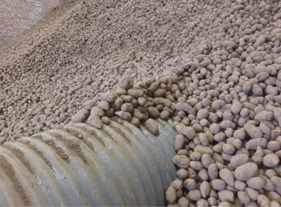 Kwaliteit in de bewaring